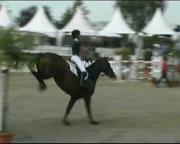 Vosswinkeler Reitertage CSN 2011