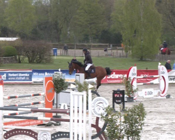 Reitturnier Westergellersen 2024