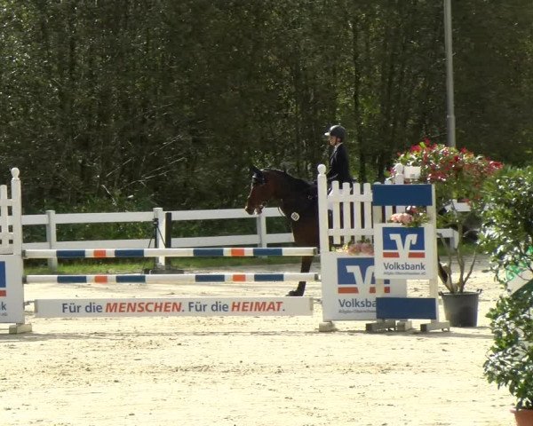 Reitturnier Isny-Rohrdorf 2021
