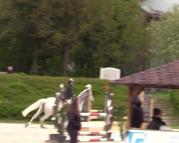 Reitturnier Pietzpuhl 2024