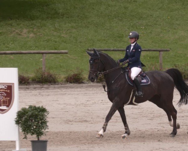 Reitturnier Tübingen 2024
