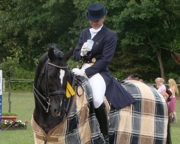 dressage horse Amaro Abano (Bavarian, 2001, from Abanos)