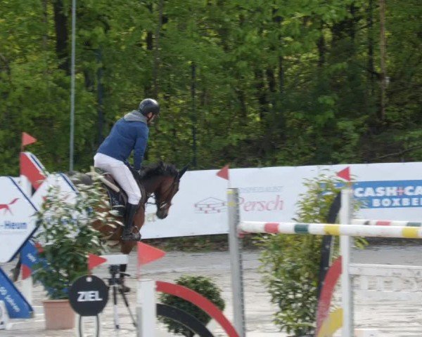 Reitturnier Neunkirchen-City 2024