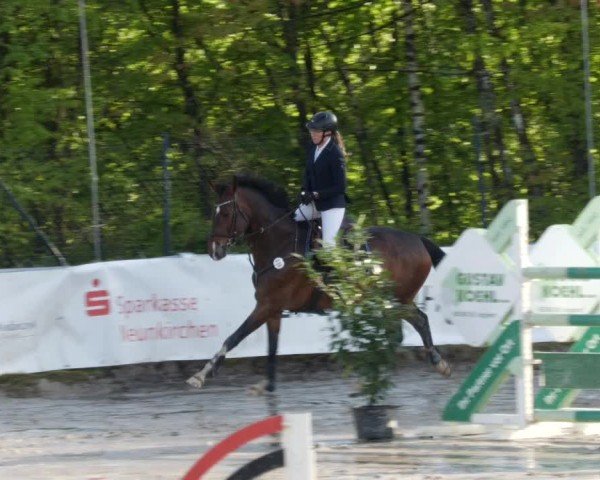 Reitturnier Neunkirchen-City 2024