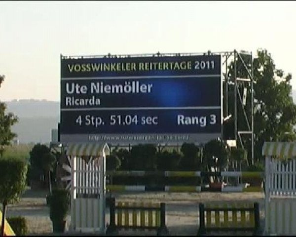 Vosswinkeler Reitertage CSN 2011