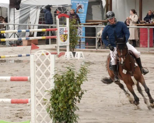 Reitturnier Neunkirchen-City 2024