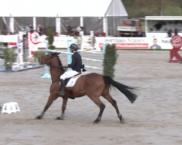 Reitturnier Westergellersen 2024