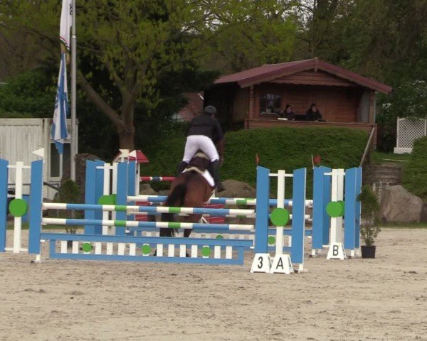 Reitturnier Pietzpuhl 2024