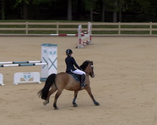 Reitturnier Tiefenhof/Opf. 2024