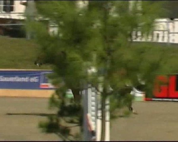 Vosswinkeler Reitertage CSN 2011