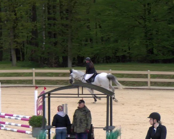 Reitturnier Tiefenhof/Opf. 2024