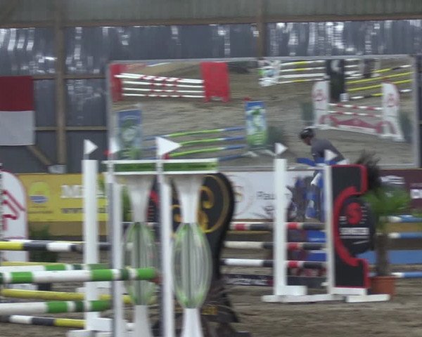 Reitturnier Pausin 2021