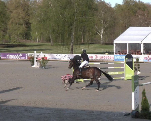 Reitturnier Westergellersen 2024