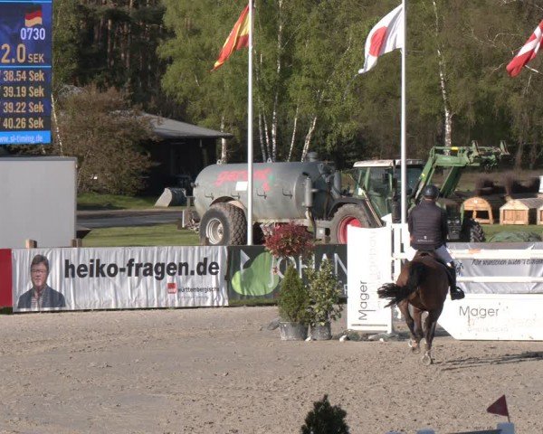 Reitturnier Westergellersen 2024