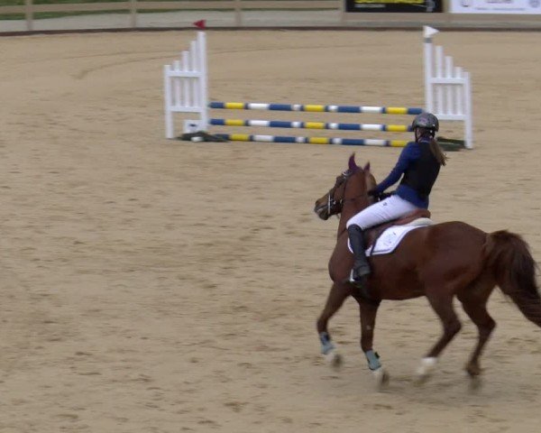 Reitturnier Tiefenhof/Opf. 2024