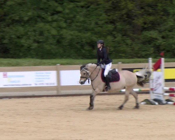 Reitturnier Tiefenhof/Opf. 2024