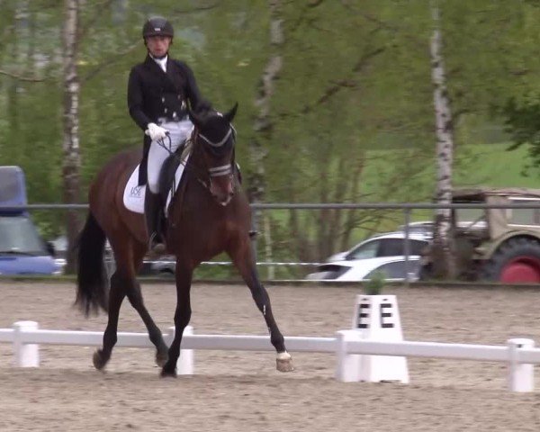 Reitturnier Landenhausen 2024