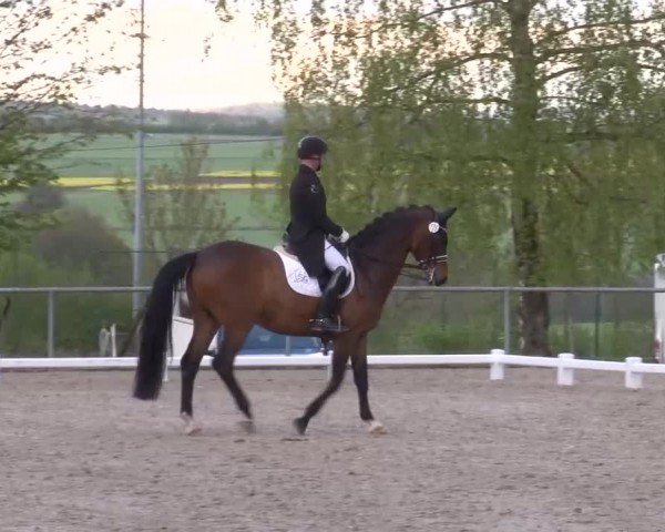 Reitturnier Landenhausen 2024