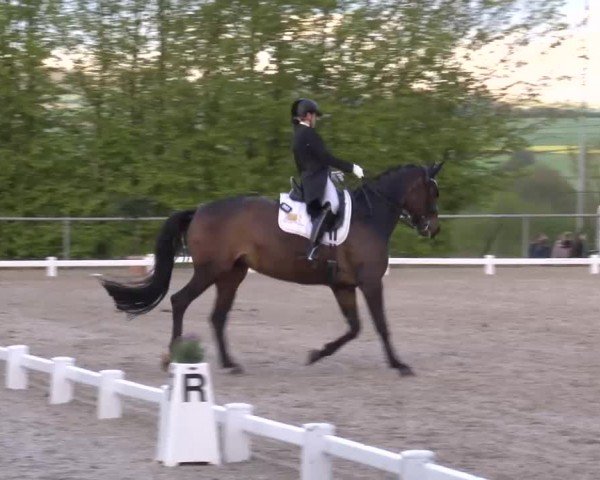 Reitturnier Landenhausen 2024