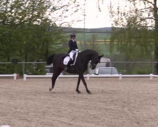 Reitturnier Landenhausen 2024
