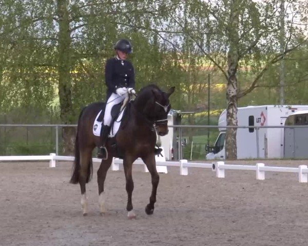 Reitturnier Landenhausen 2024