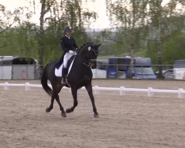 Reitturnier Landenhausen 2024