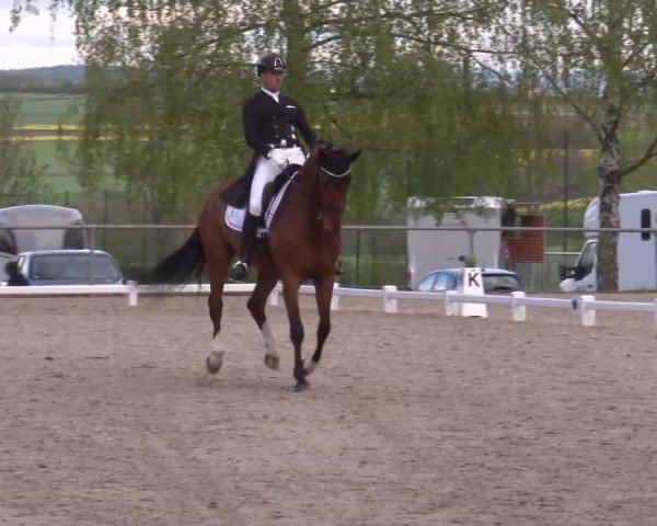 Reitturnier Landenhausen 2024