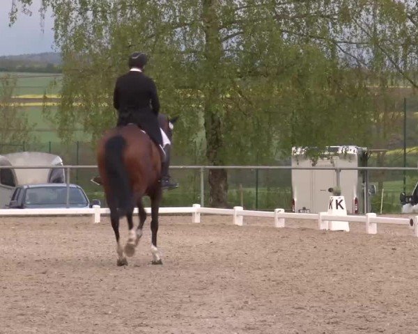 Reitturnier Landenhausen 2024