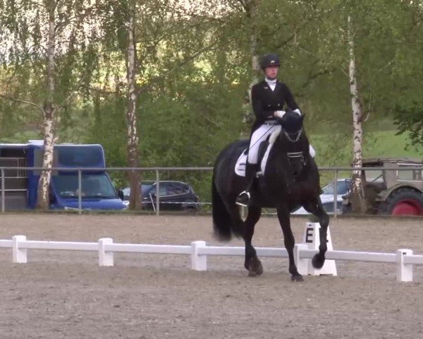 Reitturnier Landenhausen 2024