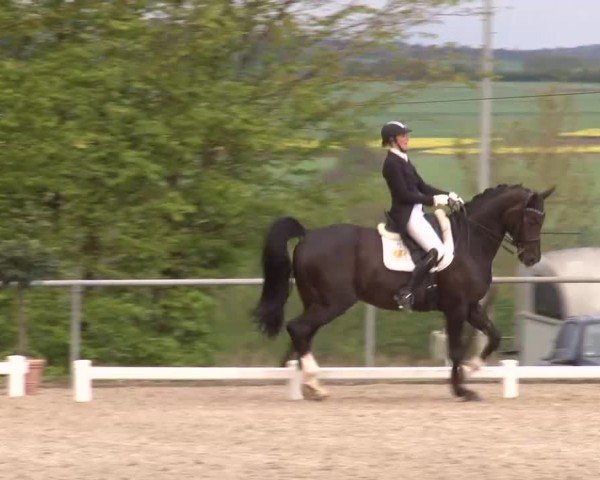 Reitturnier Landenhausen 2024