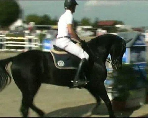 Vosswinkeler Reitertage CSN 2011