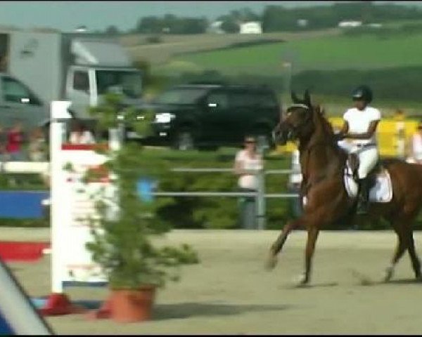 Vosswinkeler Reitertage CSN 2011