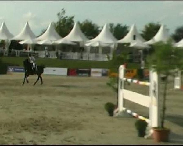 Vosswinkeler Reitertage CSN 2011