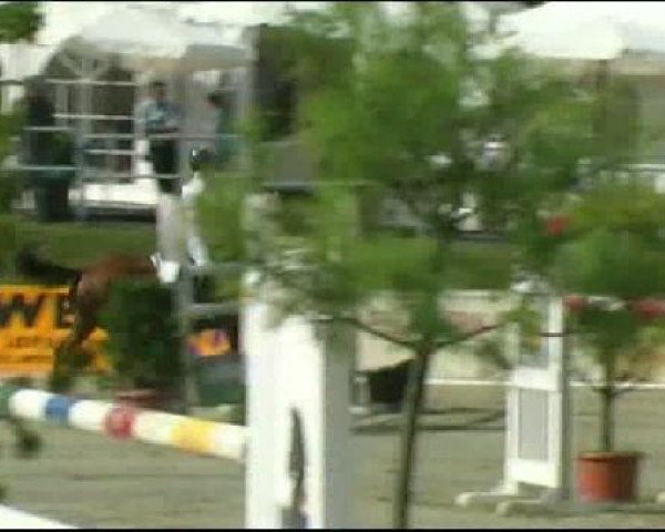 Vosswinkeler Reitertage CSN 2011