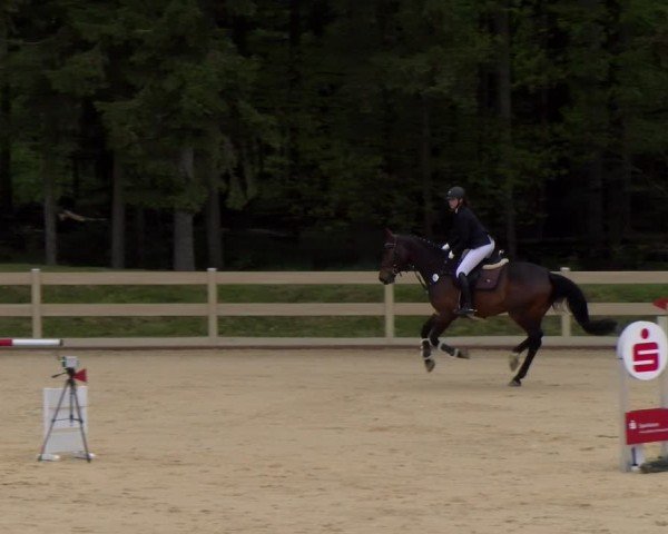 Reitturnier Tiefenhof/Opf. 2024