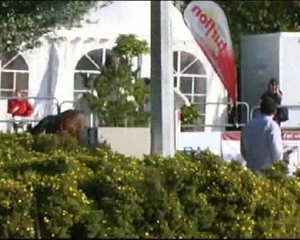 Vosswinkeler Reitertage CSN 2011
