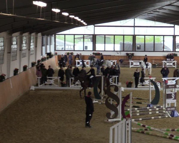 Reitturnier Werne-Lenklar 2024