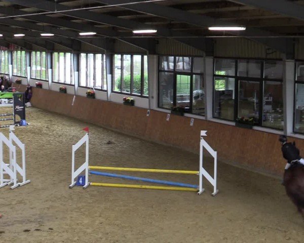 Reitturnier Werne-Lenklar 2024