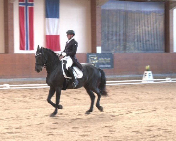 Reitturnier Weikersdorf am Steinfelde 2024