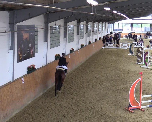 Reitturnier Werne-Lenklar 2024