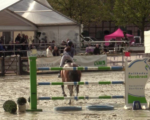 Lenklarer Reitertage Werne 2024