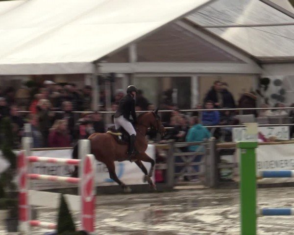 Reitturnier Werne-Lenklar 2024