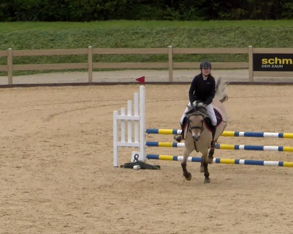 Reitturnier Tiefenhof/Opf. 2024