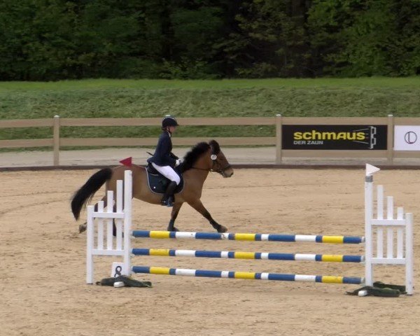 Reitturnier Tiefenhof/Opf. 2024