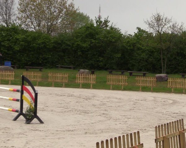 Reitturnier Pietzpuhl 2024
