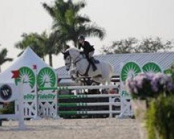 Springpferd Gam Bol Morkus W (KWPN (Niederländisches Warmblut), 2011, von Campbell VDL)