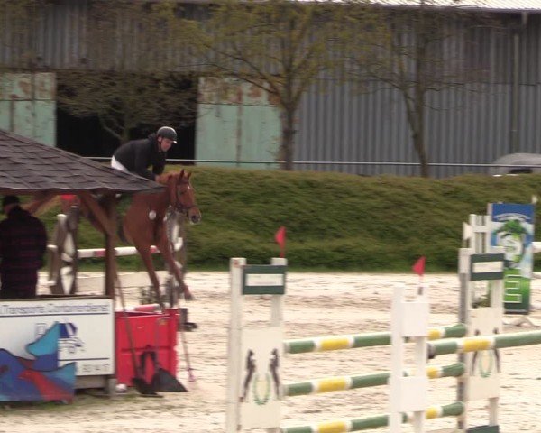 Reitturnier Pietzpuhl 2024
