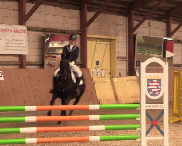Reitturnier Elisenau 2021