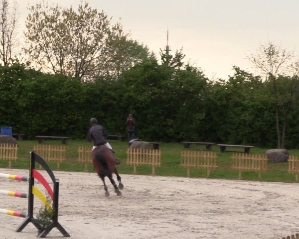 Reitturnier Pietzpuhl 2024