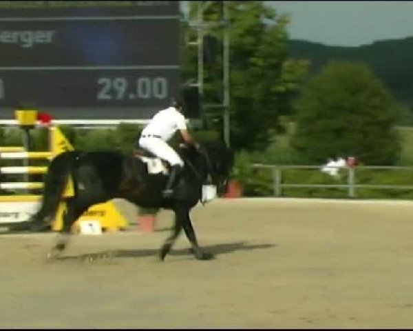 Vosswinkeler Reitertage CSN 2011